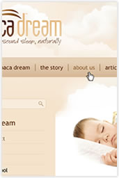 Alpaca Dream