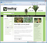 treefrog_website_design.jpg
