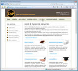 zap_website_design.jpg