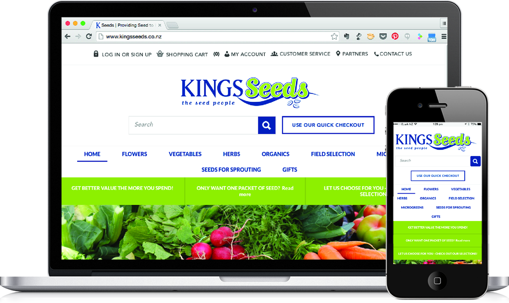 website design ecommerce online marketing zeald website design
